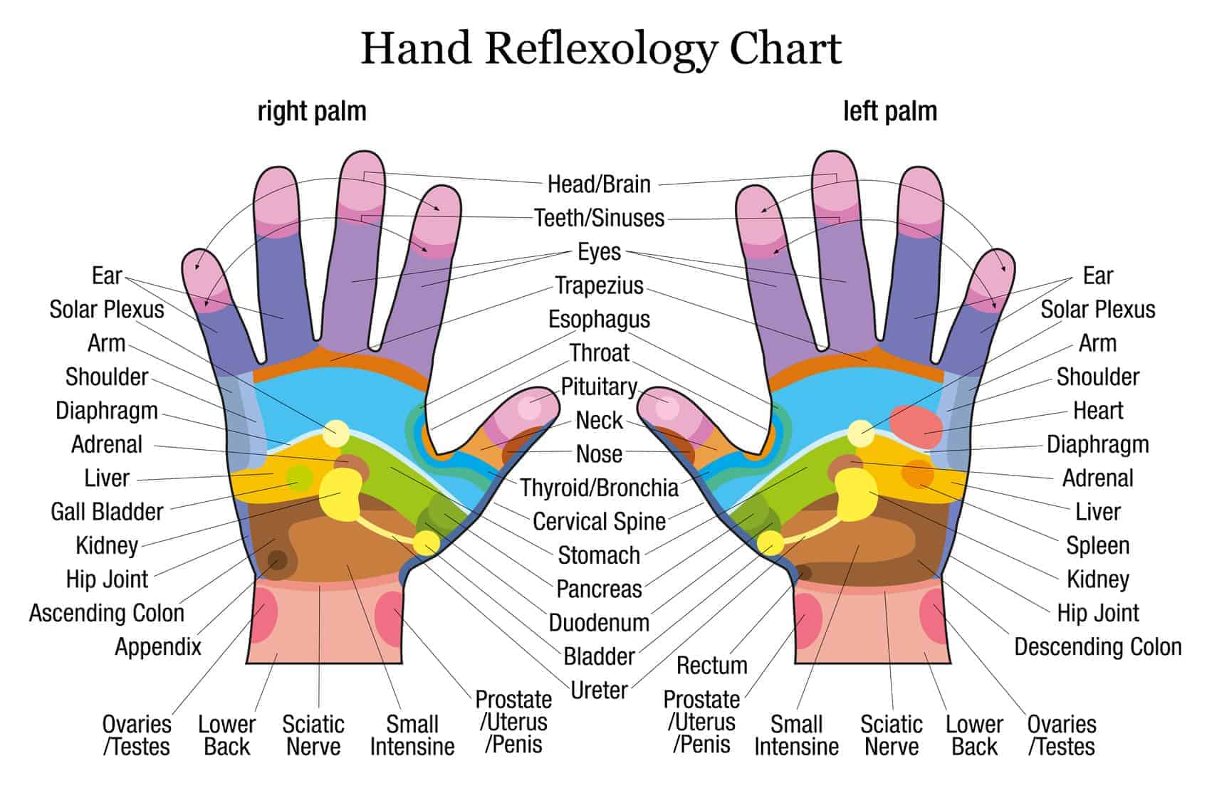 hands-reflexology