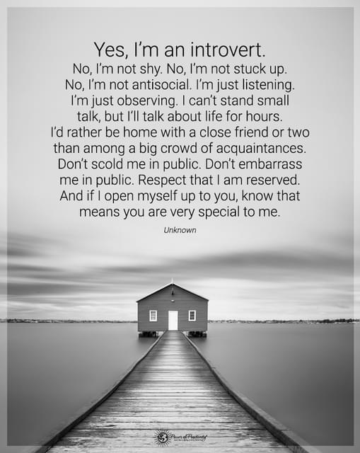 extroverted introvert