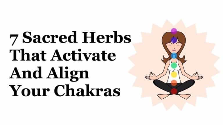 chakras