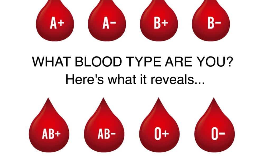 blood type personality
