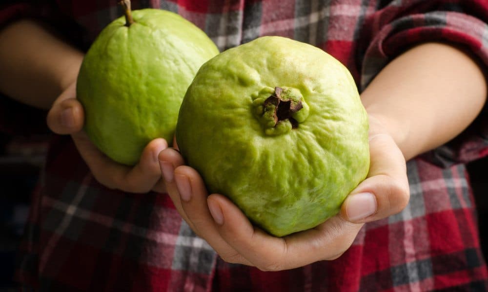 This Fruit Is The Most Powerful Antioxidant Food For Your Immune System