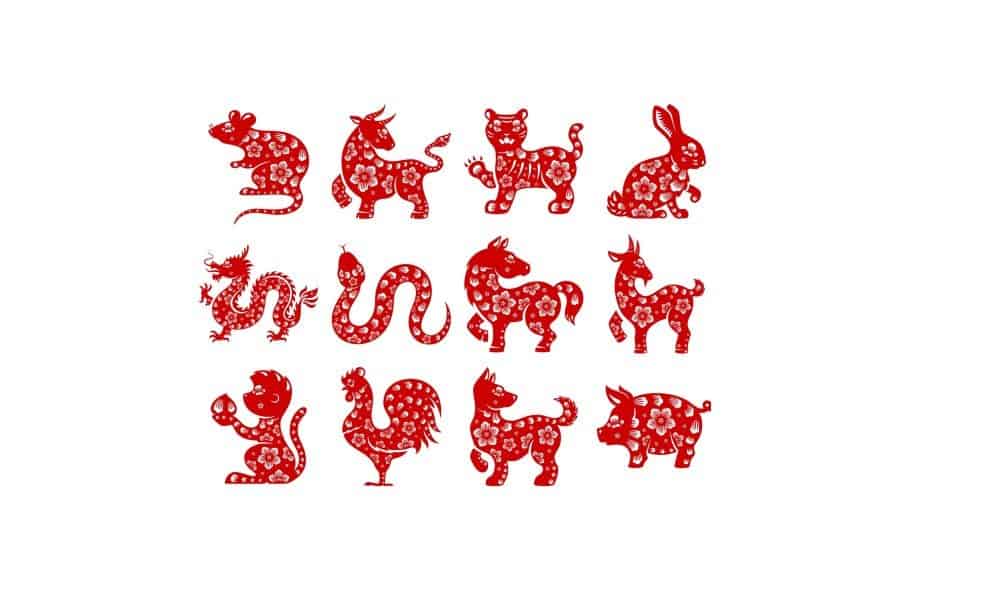 What Does Your Chinese Zodiac Reveal For 2016?