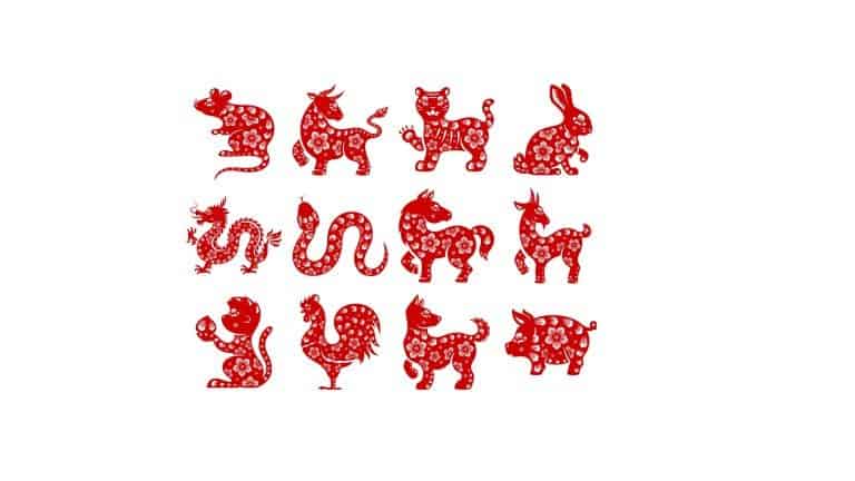 chinese zodiac