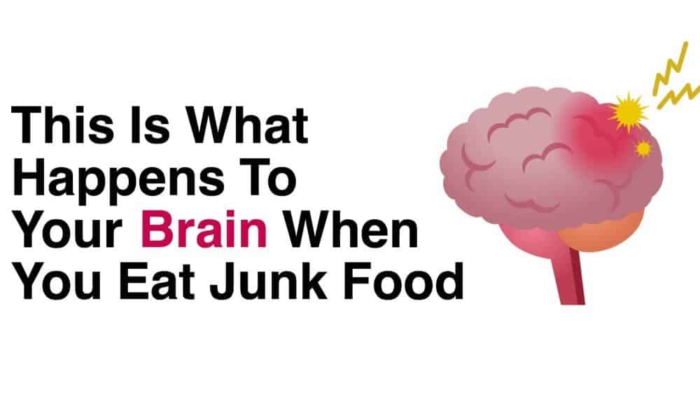 This Is What Happens To Your Brain When You Eat Junk Food