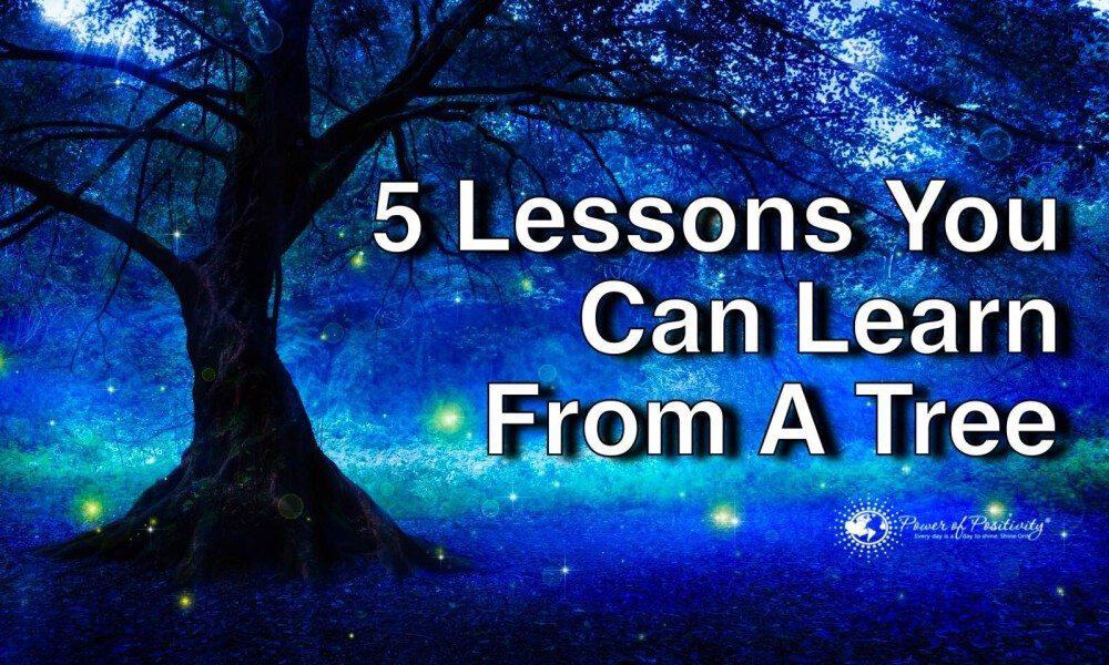 5 Lessons You Can Learn From A Tree