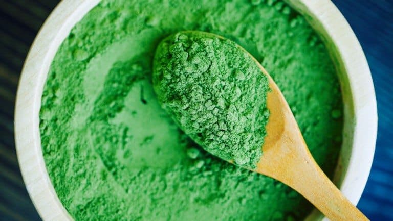 moringa
