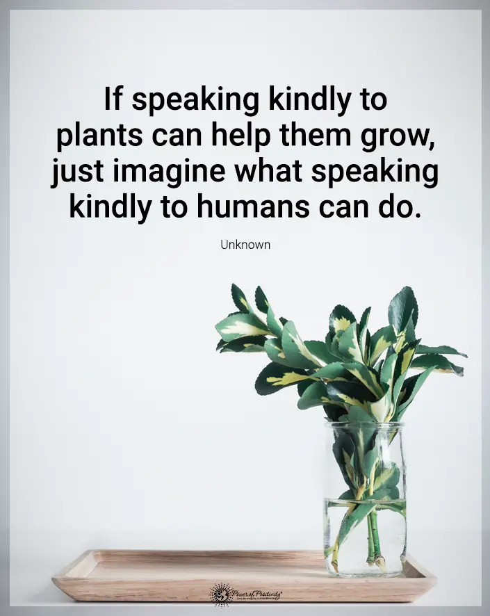 speaking kindly to plants