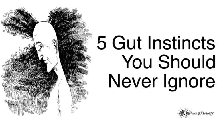 gut instincts
