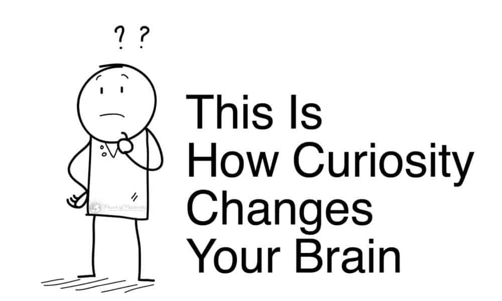 This Is How Curiosity Changes Your Brain