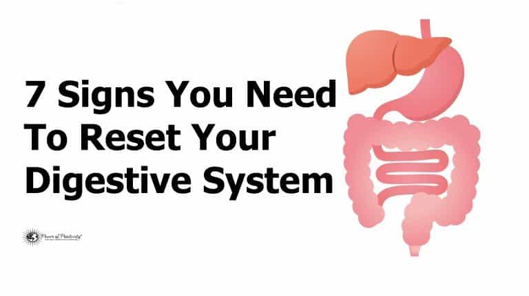 digestive system