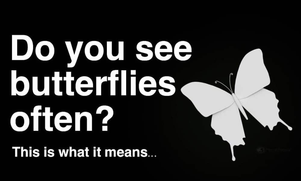 If You See Butterflies Often, This Is What It Means