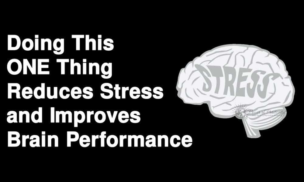 Doing This ONE Thing Reduces Stress and Improves Brain Performance