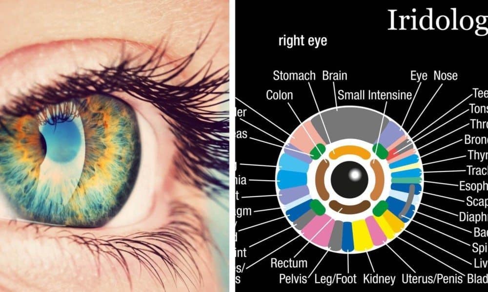 What Does Your Iris Reveal About Your Health?