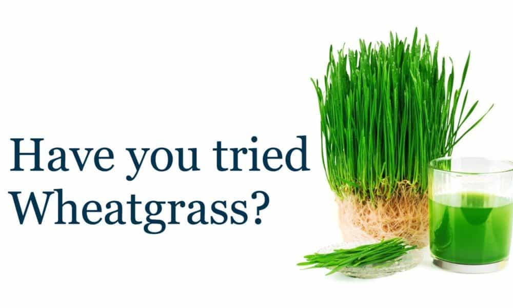 This Is What Happens To Your Body When You Drink Wheatgrass Every Day