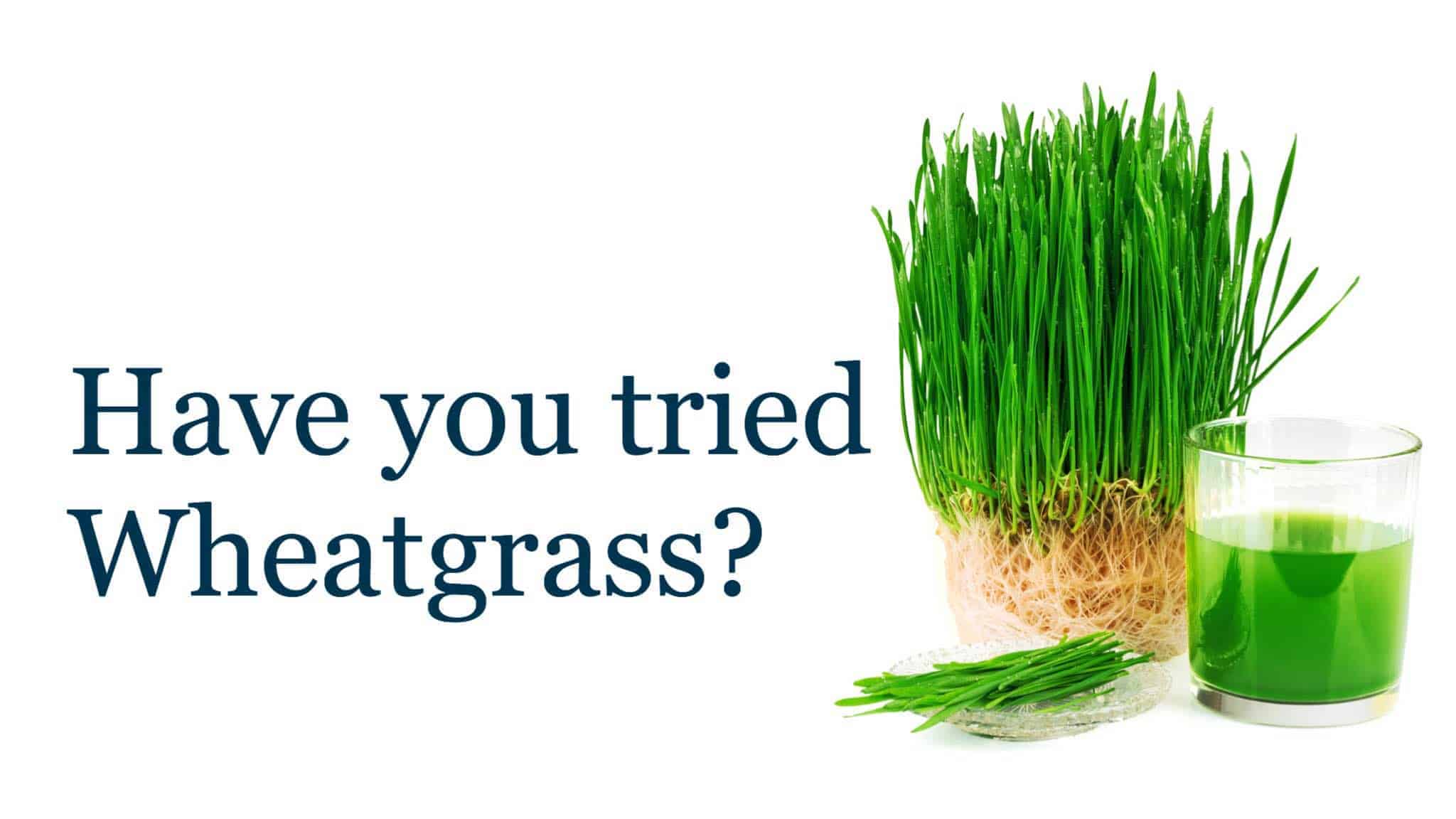 wheatgrass