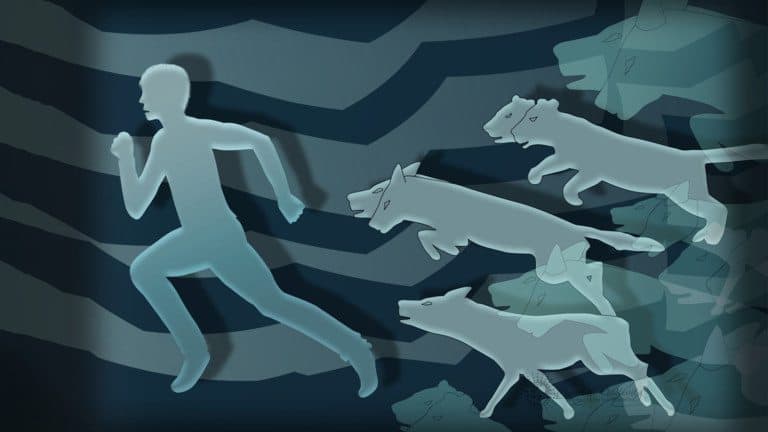 dreams about being chased