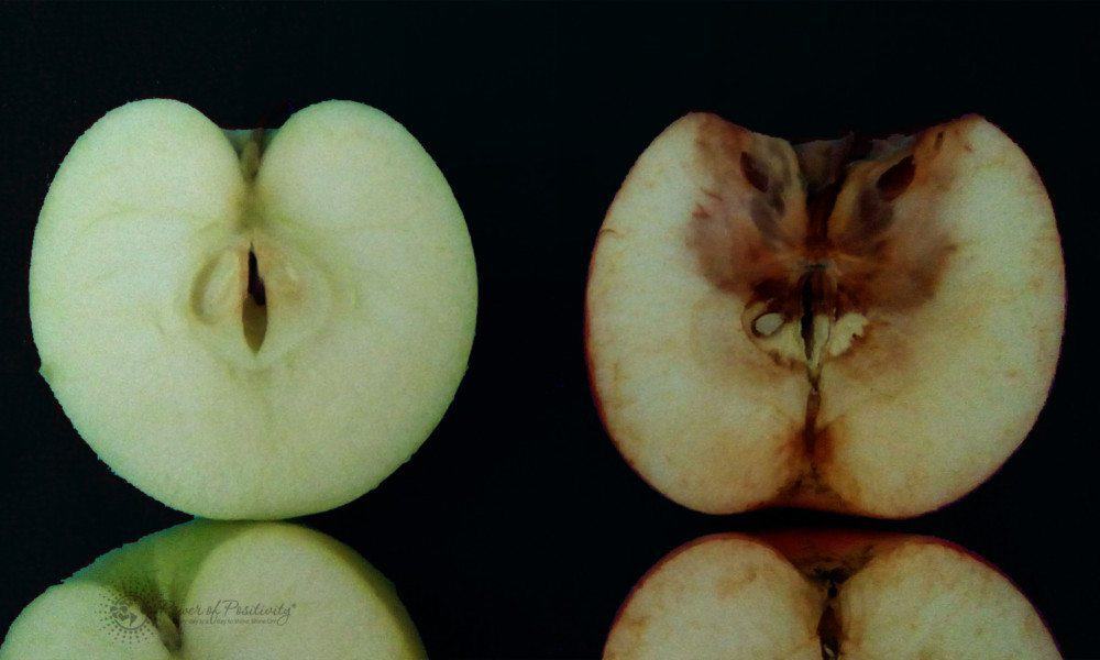 Teacher Uses Apples To Explain How Words Can Hurt