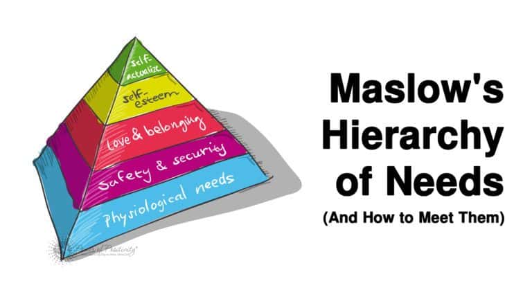 maslow hierarchy of needs