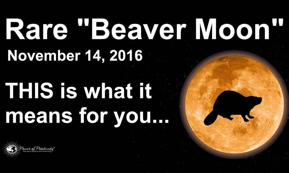 Prepare For A Huge Energy Shift On November 14th – RARE “Beaver Moon”