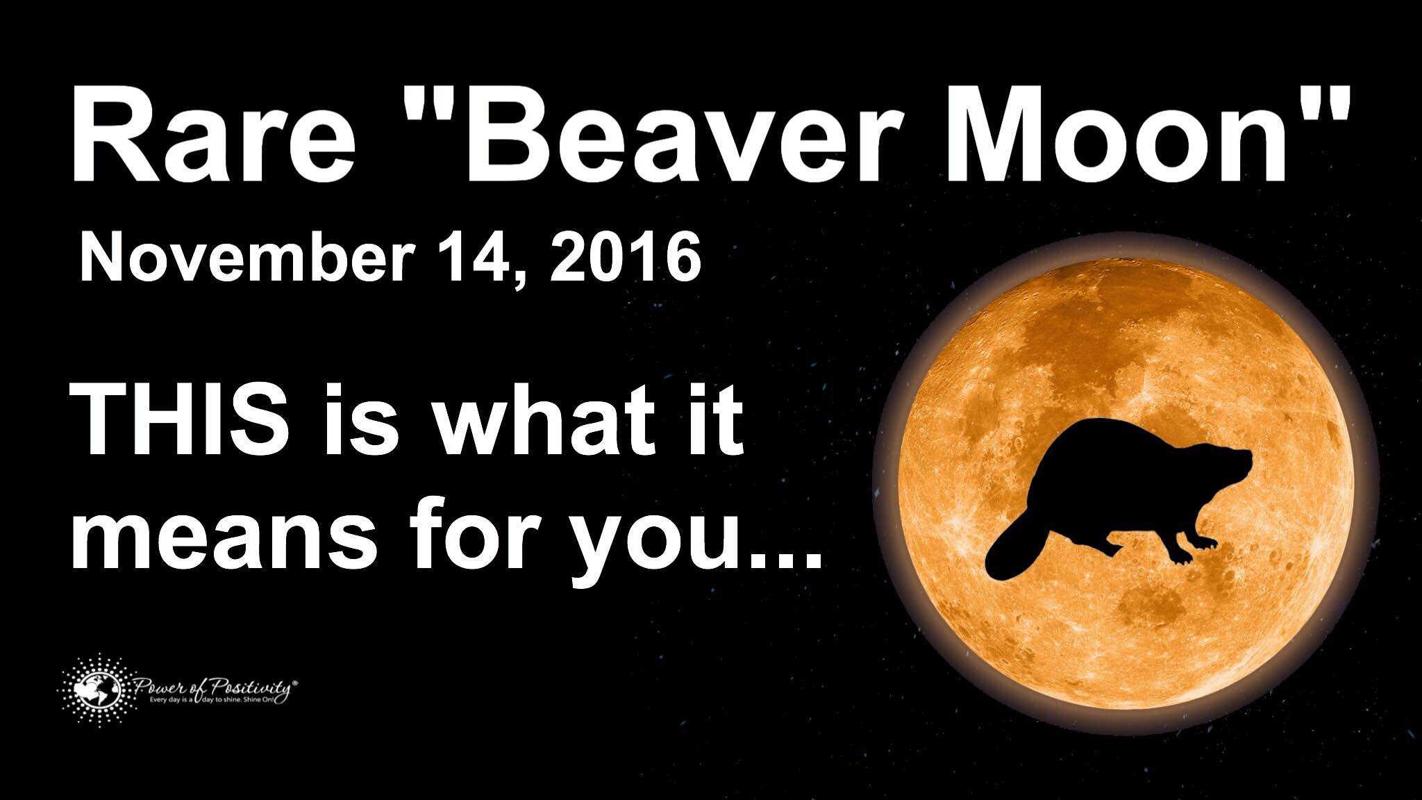 beaver moon