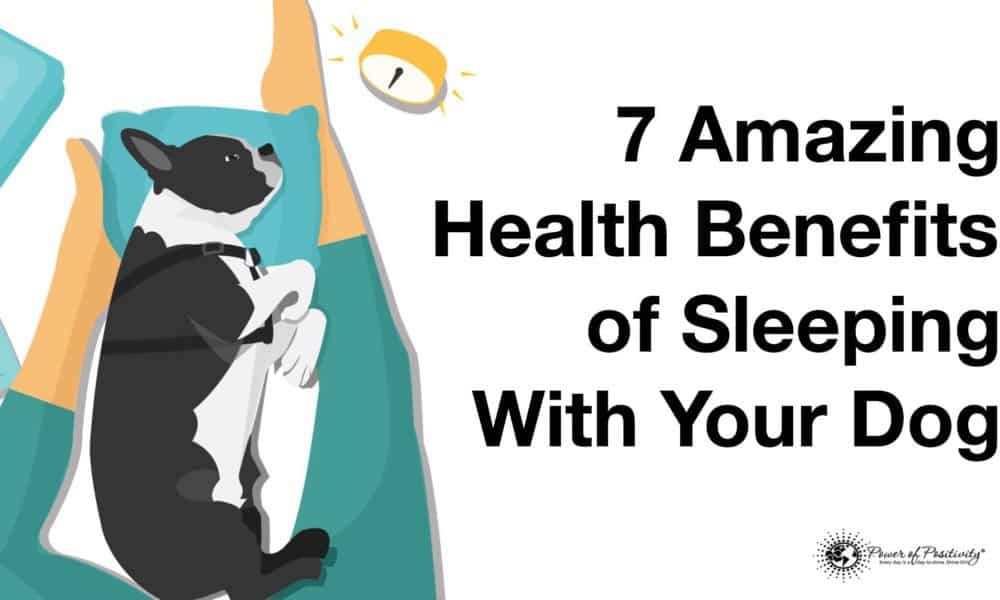 7 Amazing Health Benefits of Sleeping With Your Dog