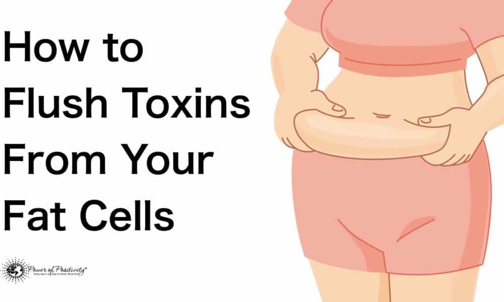 How to Flush Toxins From Your Fat Cells