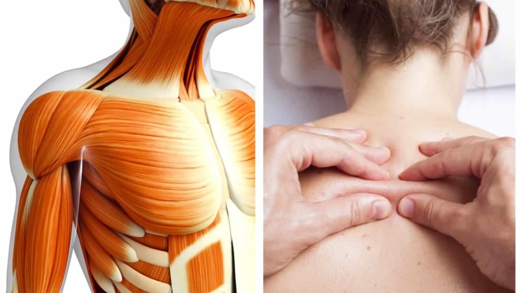 Physical Therapist Explains The Body Part That Causes Most Pain (And How To Fix It)