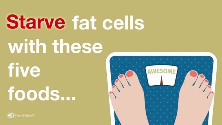 fat