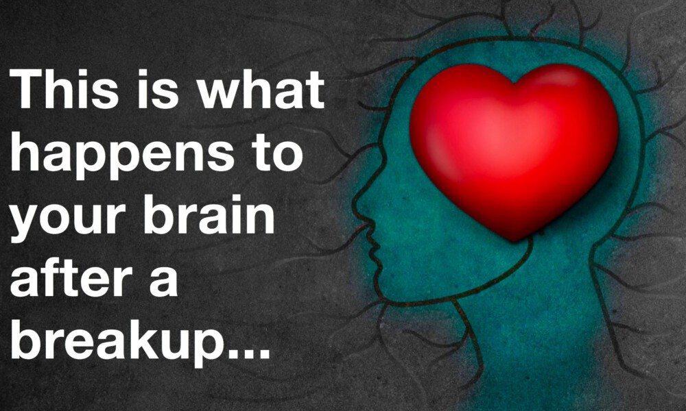 How Your Brain Changes After A Breakup
