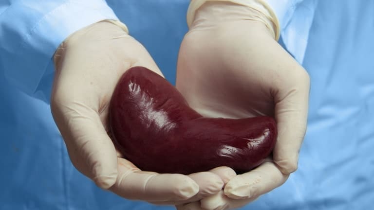 pastor donates kidney