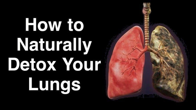 lungs