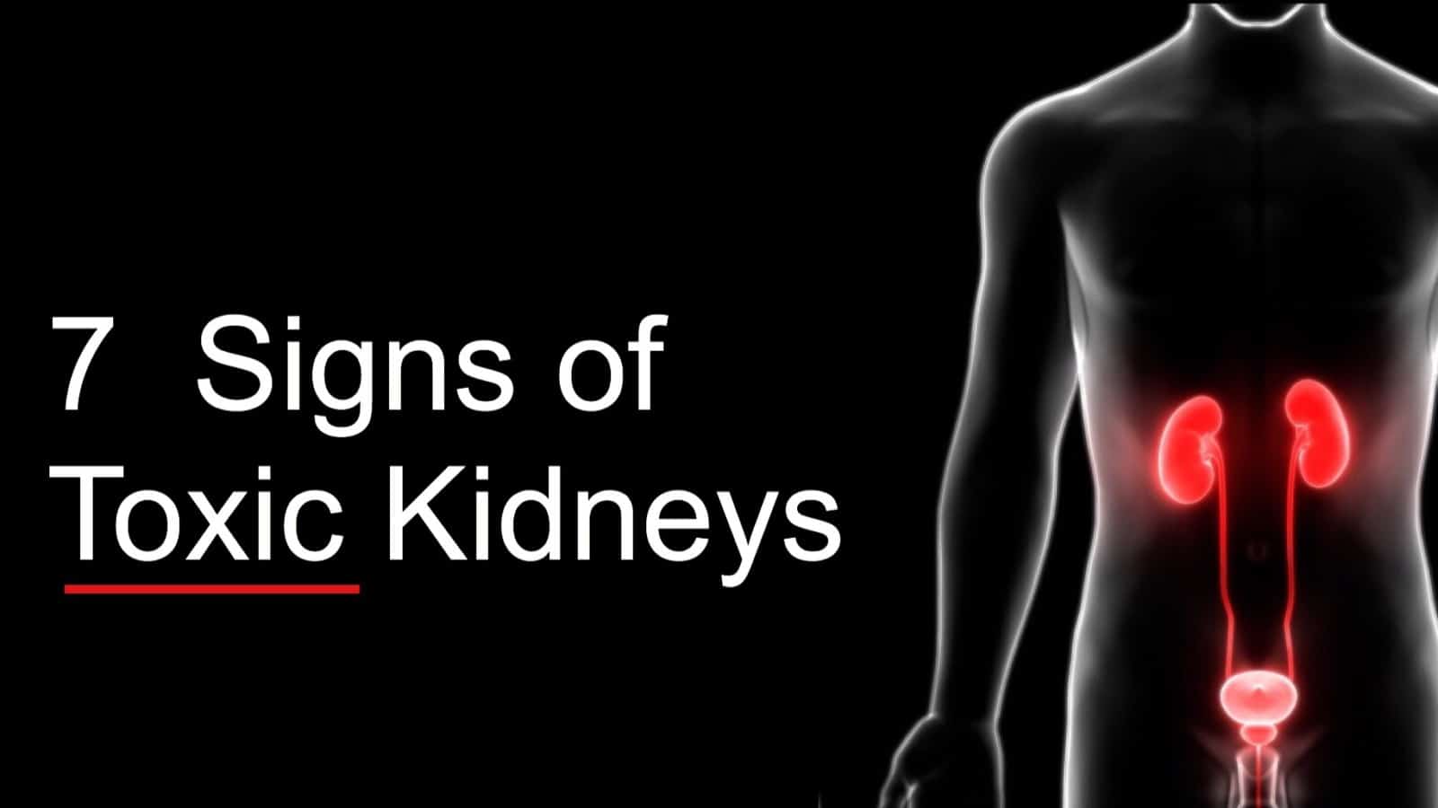 7 Signs of Toxic Kidneys