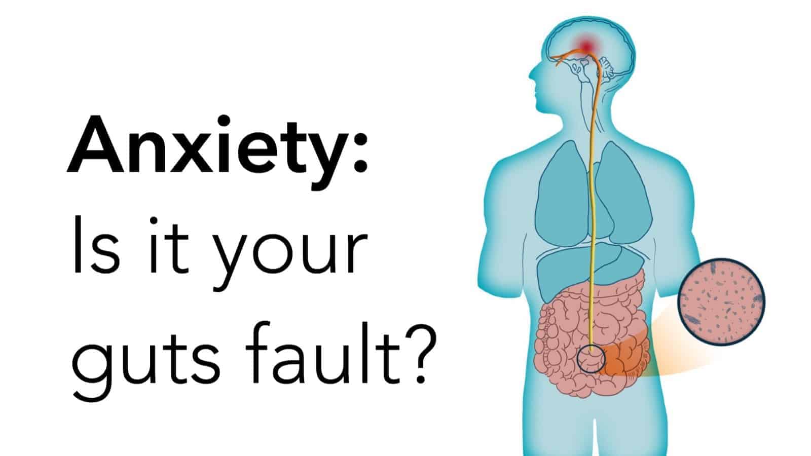 Researchers Explain How Your Gut Bacteria Causes Anxiety, According to Science