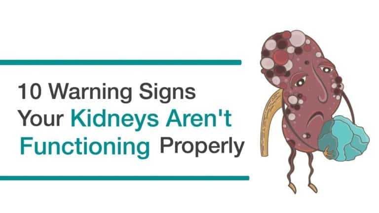 kidneys