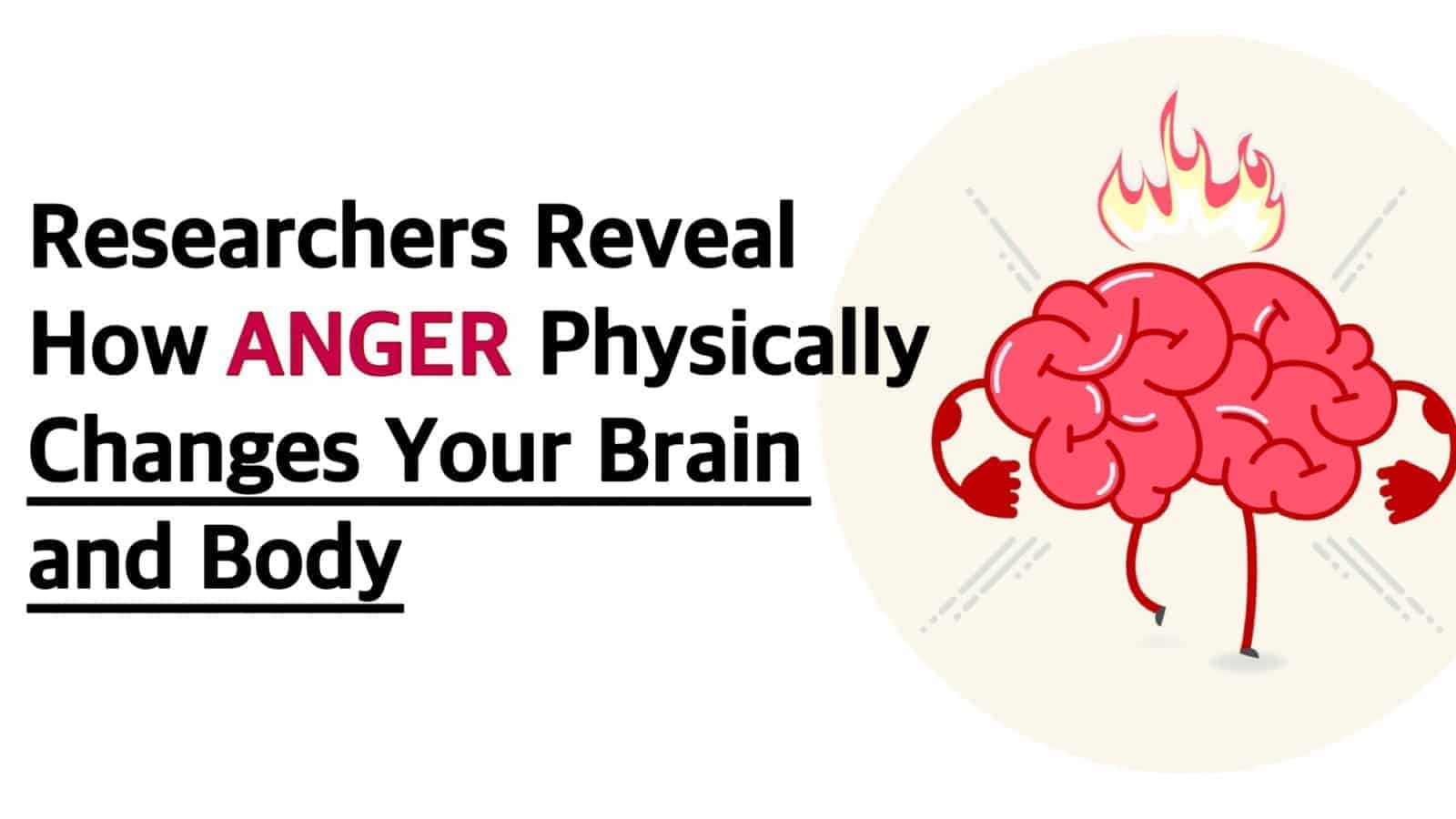 Researchers Reveal How Anger Physically Changes Your Brain and Body