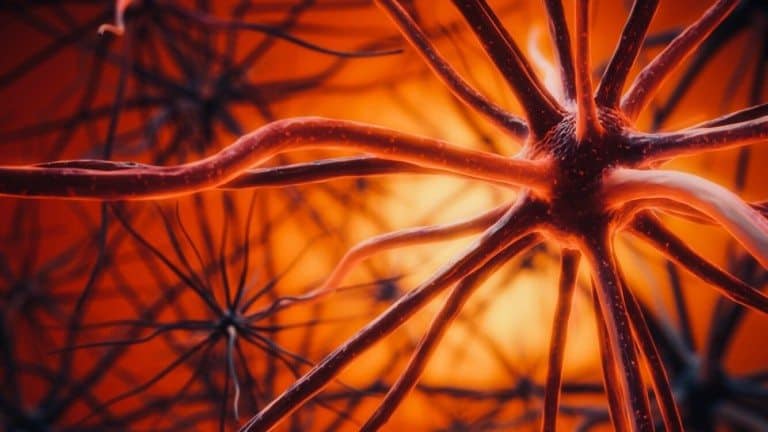 alzheimers