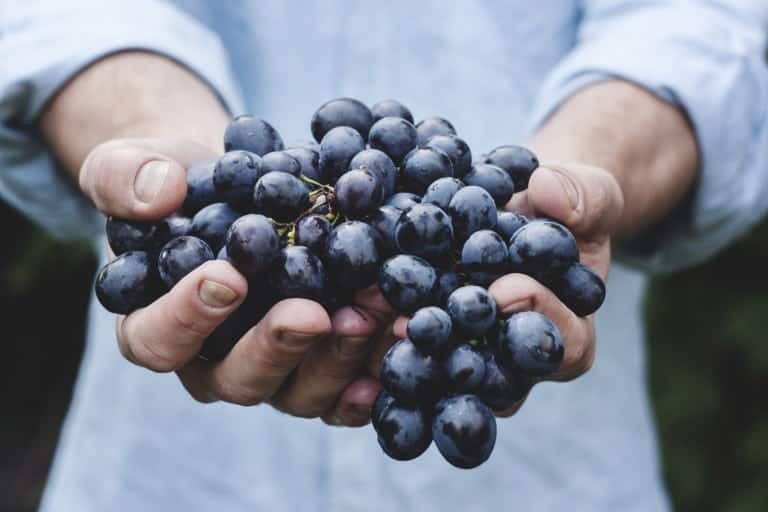 pesticides