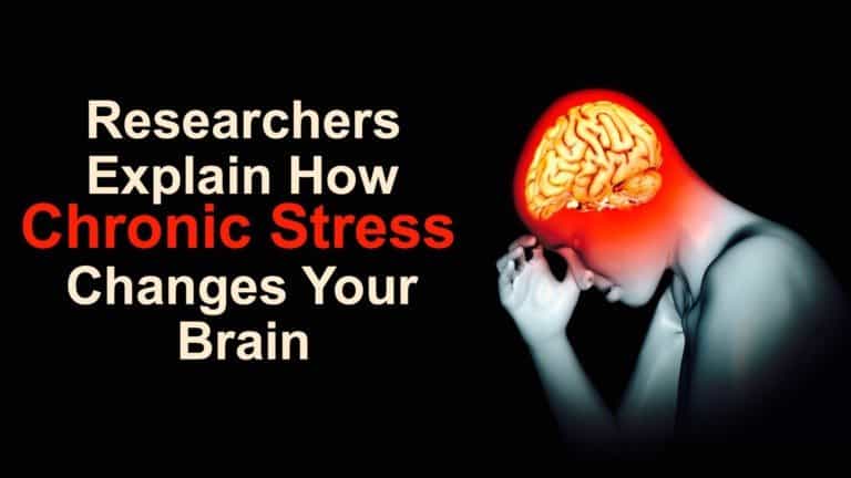 stress