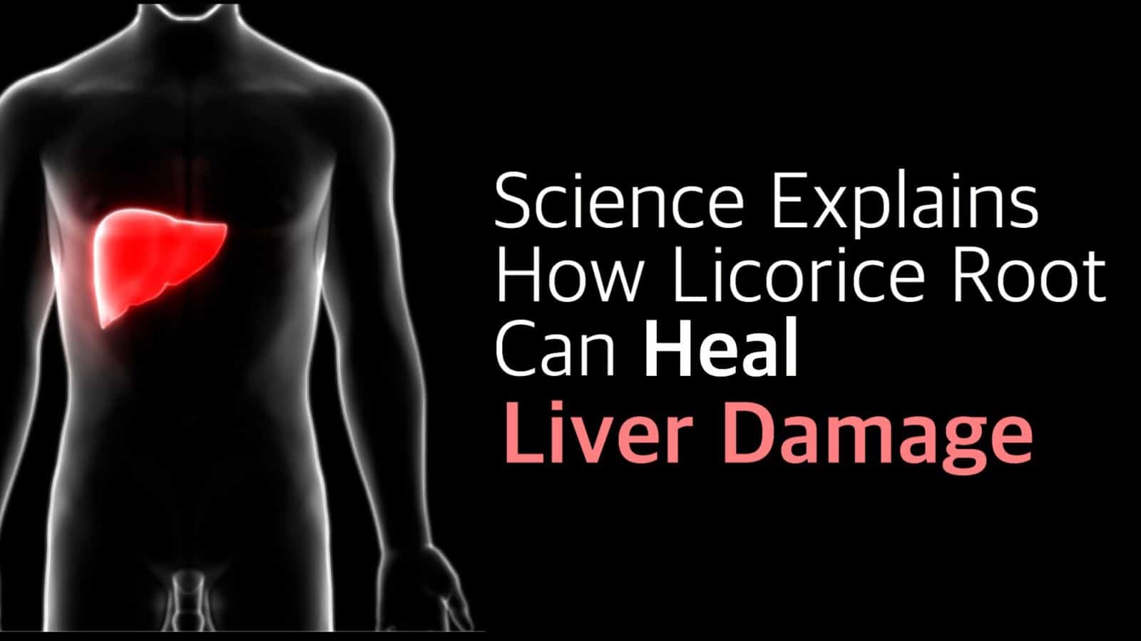 Science Explains How Licorice Root Can Heal Liver Damage