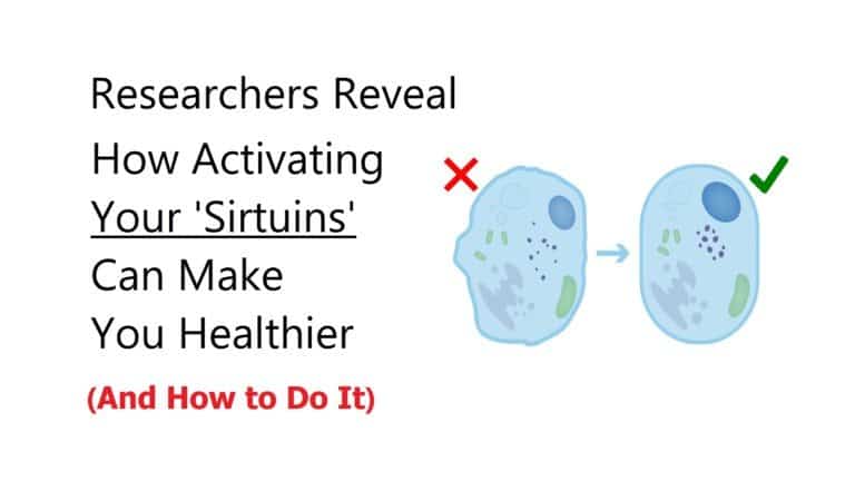 sirtuins
