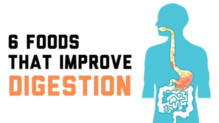 digestion