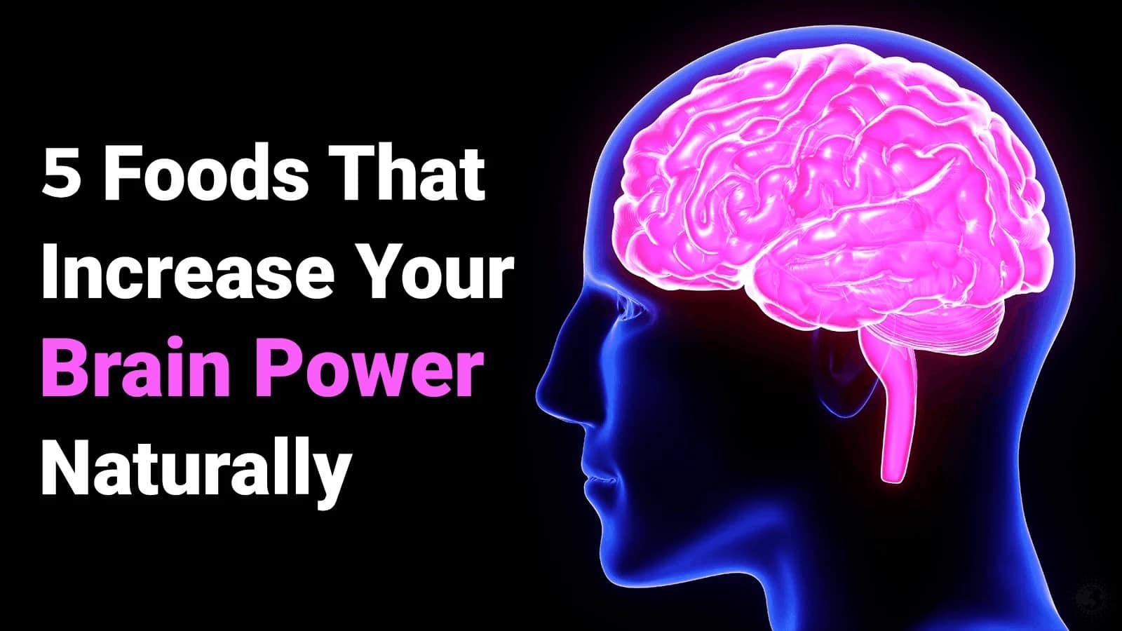 5 Foods That Increase Your Brain Power Naturally