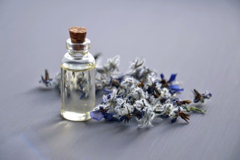 essential oils for weight loss