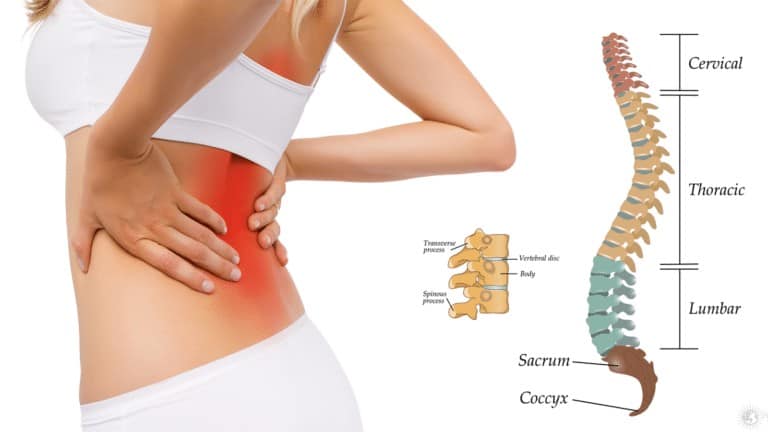 back pain