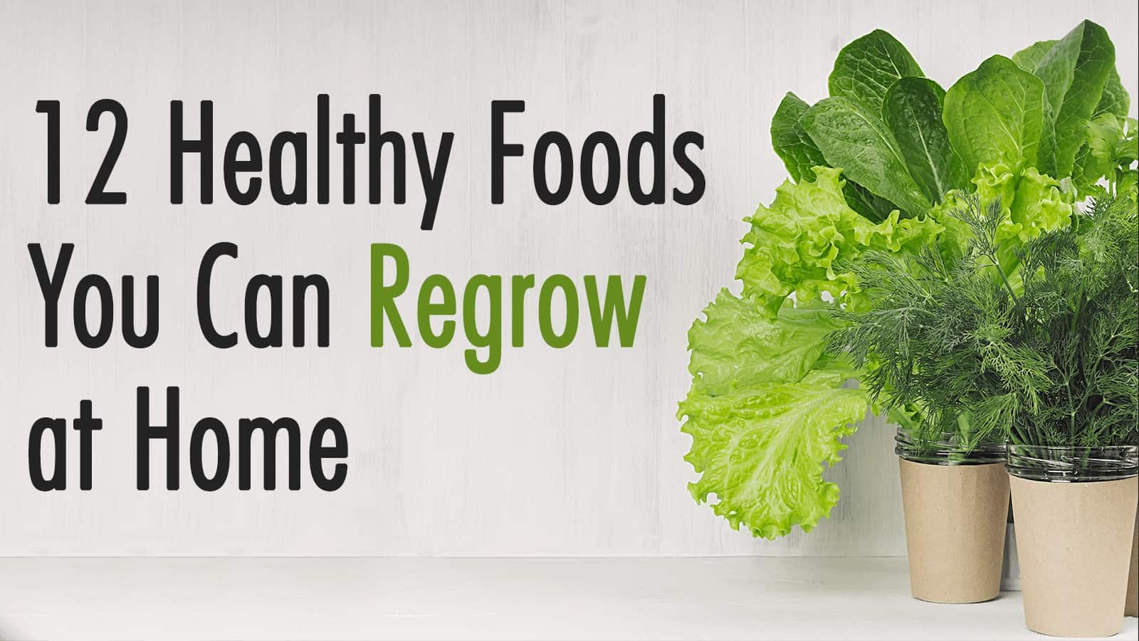 12 Healthy Foods You Can Regrow At Home Forever