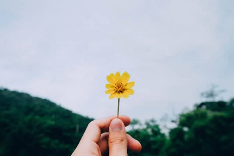 let go