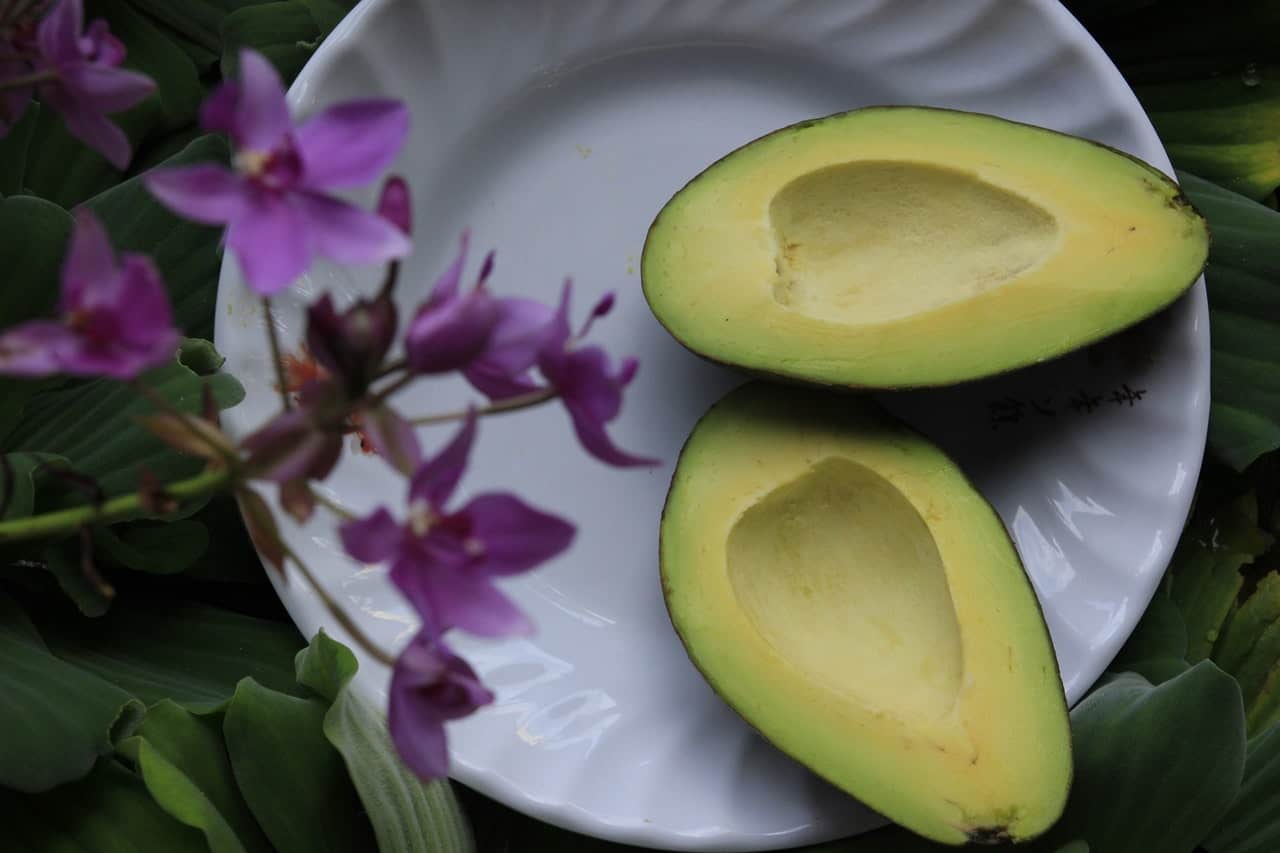 5 Delicious Ways To Turn An Avocado Into A Healthy Dessert