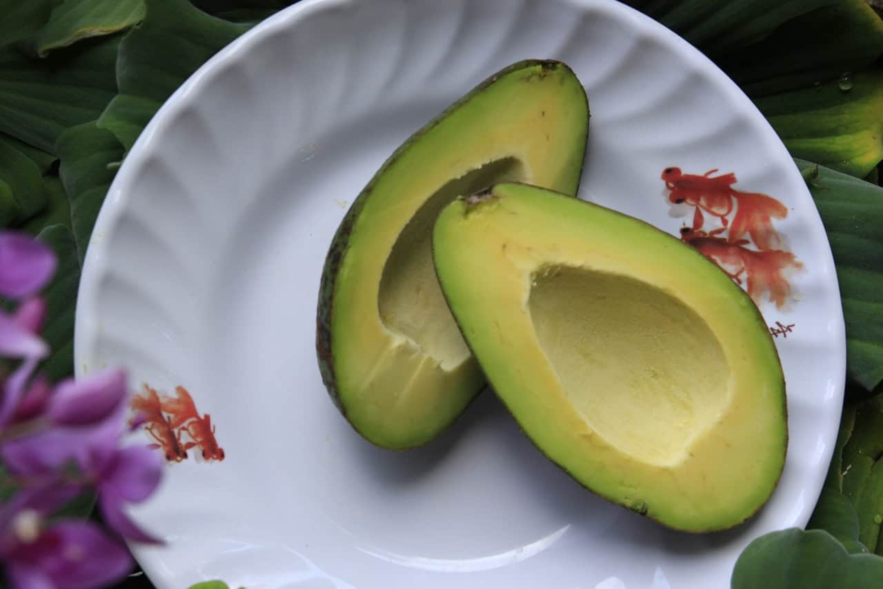 10 Reasons Avocado Is One Of The Healthiest Foods On The Planet
