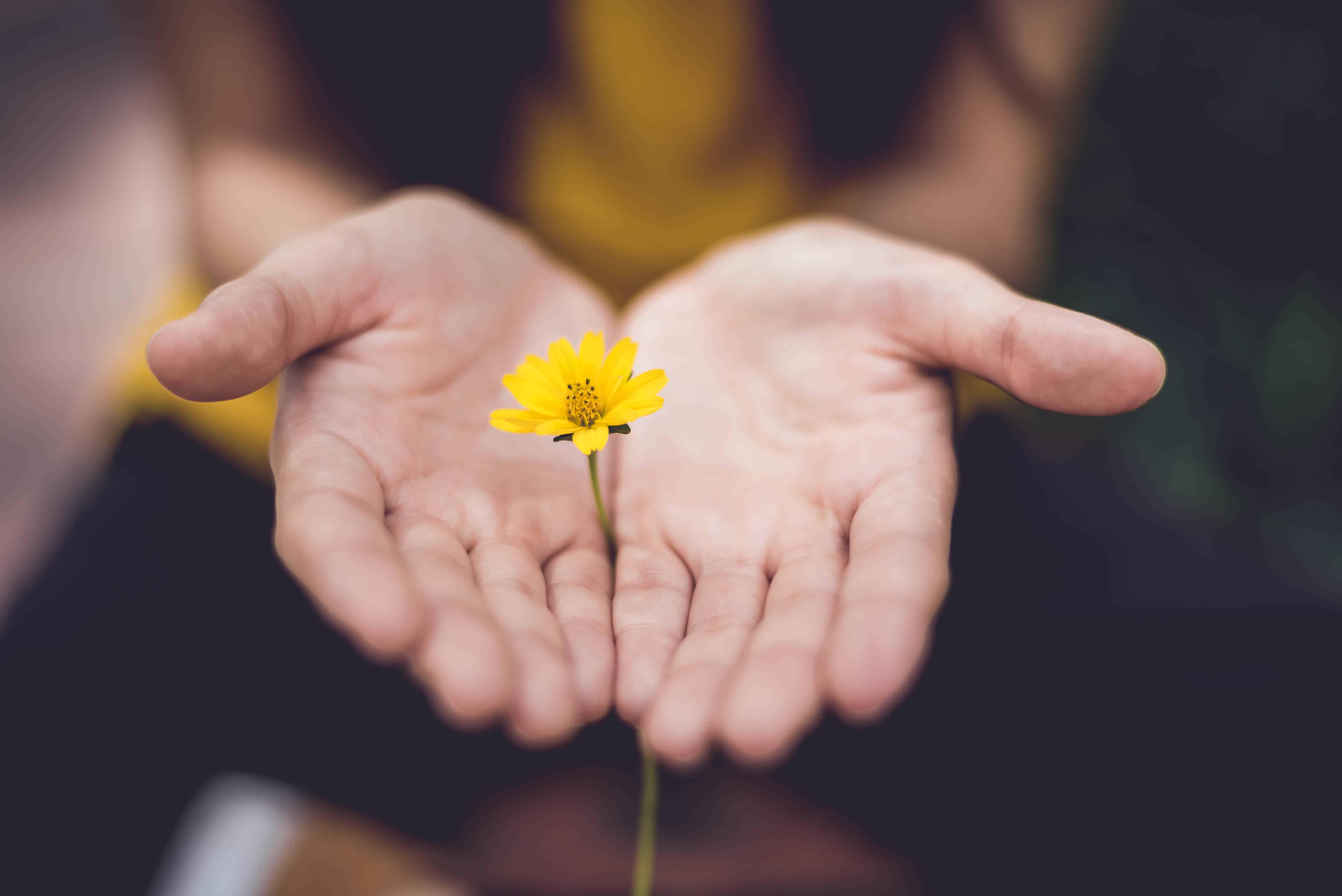 10 Mind Boggling Facts About Forgiveness That Will Change Your Life