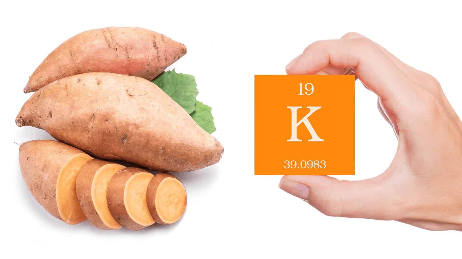 15 Foods With The Most Potassium